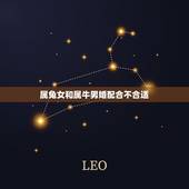 属兔女和属牛男婚配合不合适，属牛男和属兔女相配吗