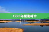 1993年是哪种水