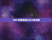 1987年属兔的2023年运势(兔子们迎来事业上的大突破)