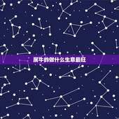 属牛的做什么生意最旺，属牛的最适合做什么生意？