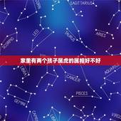 家里有两个孩子属虎的属相好不好，家里有2个属虎的好么？