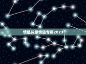 情侣头像情侣专用2023，对应的情侣头像