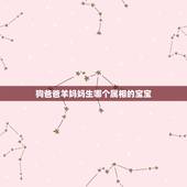 狗爸爸羊妈妈生哪个属相的宝宝，狗爸爸与兔妈妈生什么属相的孩子好？