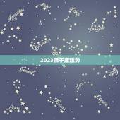 2023狮子座运势，狮子座2023年运势详解
