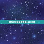 取名字大全免费查询2023男孩，2023年男娃娃取名推荐