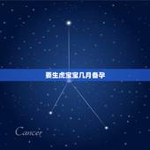 要生虎宝宝几月备孕，今年几月份怀孕可以生虎宝？