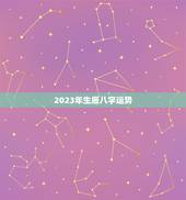 2023年生辰八字运势，2023年的流年运势