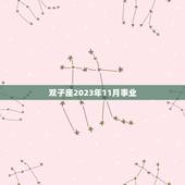 双子座2023年11月事业，双子座2o22年学业如何