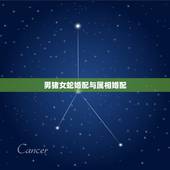 男猪女蛇婚配与属相婚配，男属猪和女属蛇到底能相配吗？