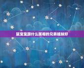 鼠宝宝跟什么属相的兄弟姐妹好，属什么属相最好？