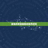属兔的男宝宝取名嘉齐好吗(从姓名学角度分析宝宝取名)