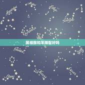 属相猴和羊婚配好吗，男属猴和女属羊的婚姻相配吗