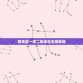 猴龙鼠一家二胎适合生啥属相，夫妻属龙生大宝属猴二胎什么宝宝好？