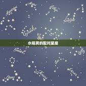 水瓶男的配对星座，水瓶座男更佳配对星座