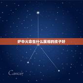 炉中火命生什么属相的孩子好，我属兔26岁，我老公属牛28岁，请问我们生