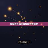 属鼠的人与什么属相合作最好，属鼠的与什么属相的人合作最佳