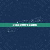 正月属猪的学业运势如何，2007年属猪出生正月运势