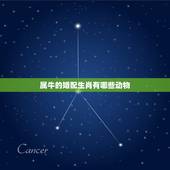 属牛的婚配生肖有哪些动物，属牛和什么属相相配