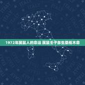 1972年属鼠人的命运 属鼠壬子年生桑柘木命