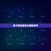 属子男和属免女婚配好吗，属相婚配：男属龙和女属兔相配吗