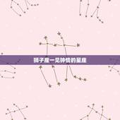 狮子座一见钟情的星座，能把狮子座心偷走的星座