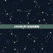 2006年2月1日生的属相，阳历2002年2月1日出生的孩子属相是什么