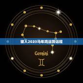 猪人2023马年鸡运势运程