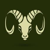 白羊今年运势2023男(顺风顺水财运亨通)