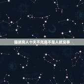 猫抓完人十天不死是不是人就没事，被猫咬伤后伤口都处理过了，是不是过了十