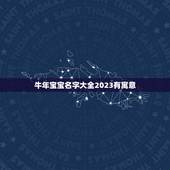 牛年宝宝名字大全2023有寓意，2023属牛男孩最吉利的名字？