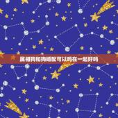 属相狗和狗婚配可以吗在一起好吗，属狗与狗的属相婚配表和好吗？