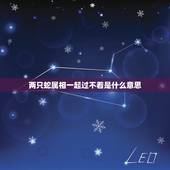 两只蛇属相一起过不着是什么意思，生肖老虎跟蛇是不是不能在一起