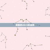 属猴的2023年运势，属猴的2023年运势运程