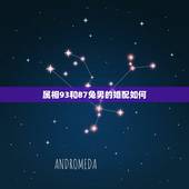 属相93和87兔男的婚配如何，93年属鸡男，87年属兔女婚配吗