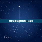 鼠女的婚配最好的配什么属相，属鼠的女人和什么属相最配