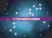 十二生肖运程每日运势查询，射手座今日运势