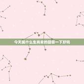 今天属什么生肖来的回答一下好吗，今天属什么生肖属金木水火土中的哪一个？