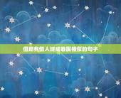 但愿有情人终成眷属相似的句子，有情人终成眷属类似的诗句（越多越好）