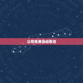 公司免费自动取名，免费公司起名网