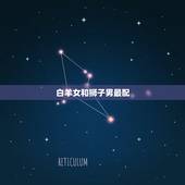 白羊女和什么星座最配(星座大介绍配对星座是TA)