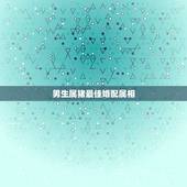 男生属猪最佳婚配属相，生肖猪最佳配对属相