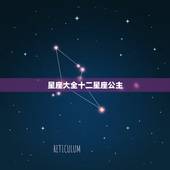 星座大全十二星座公主，12星座的眼泪代表什么