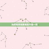 刘邦和项羽属相是不是一样，项羽属什么生肖