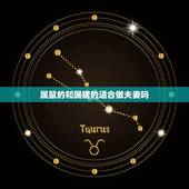 属鼠的和属猪的适合做夫妻吗，属鼠的和属猪的，姻缘如何？