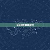 天秤座长啥样图片，天秤座和什么座最配