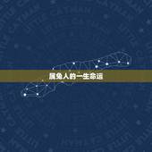 属兔人的一生命运，75年属兔人的一生命运