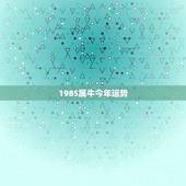 1985属牛今年运势，2023 年属牛贵人在哪里
