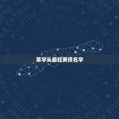 草字头最旺男孩名字，草字头的字男孩起名字属牛