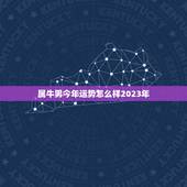 属牛男今年运势怎么样2023年，属牛男生今年运势