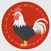 属鸡的2025年多大年龄虚岁，属鸡的年龄表